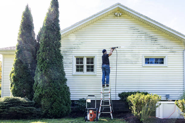 Best Patio and Deck Pressure Washing  in Jena, LA