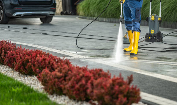 Best Building Exterior Washing  in Jena, LA